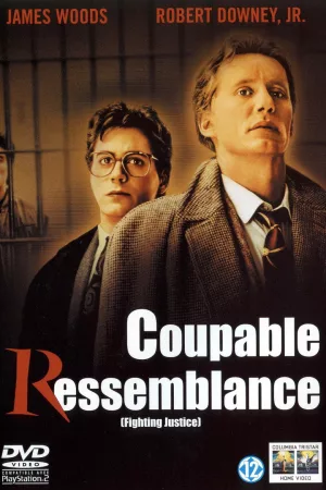 Jaquette : Coupable ressemblance