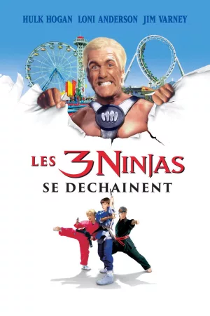 Jaquette : Ninja Kids 4 : Les 3 Ninjas se déchaînent