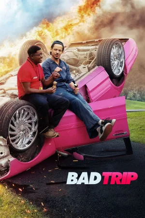 Jaquette : Bad Trip