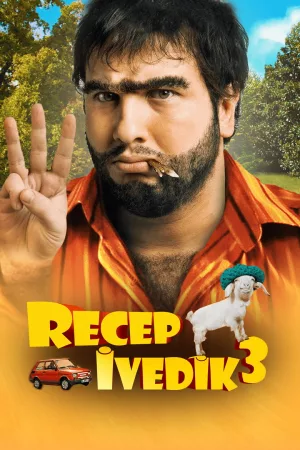 Jaquette : Recep İvedik 3