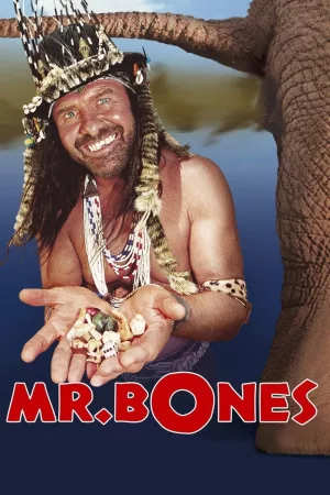 Jaquette : Mr. Bones