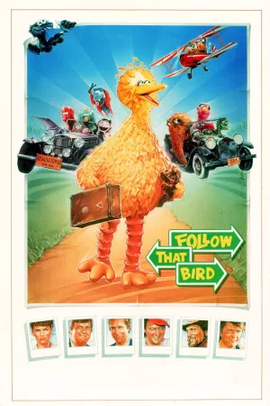 Jaquette : Follow That Bird