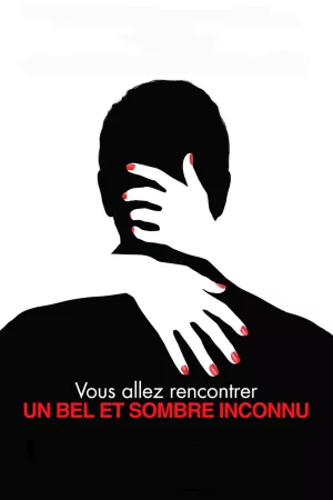 Jaquette : Vous allez rencontrer un bel et sombre inconnu