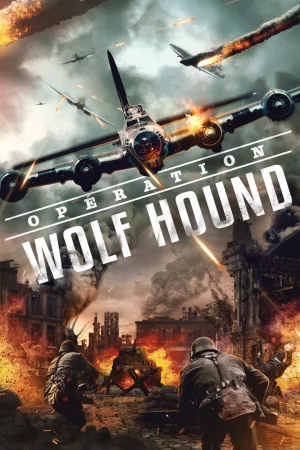 Jaquette : Le chien loup