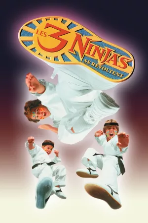 Jaquette : Ninja Kids 3 : Les 3 Ninjas se révoltent