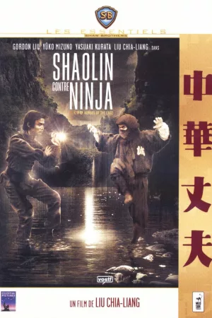 Jaquette : Shaolin contre Ninja