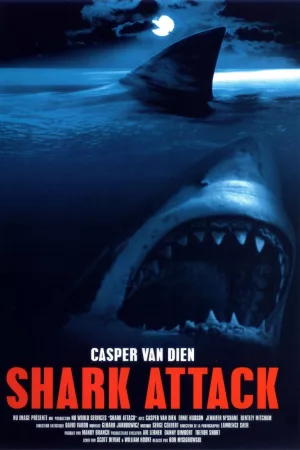 Jaquette : Shark Attack