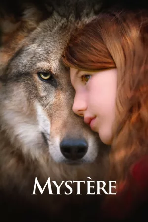 Jaquette : Mystère