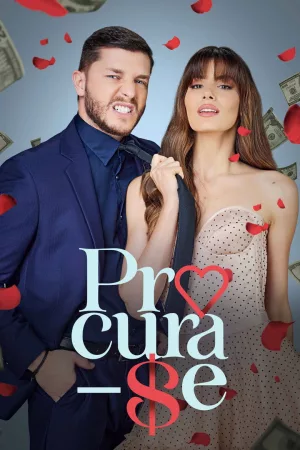 Jaquette : Procura-se