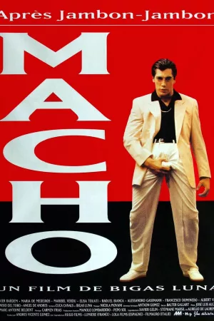 Jaquette : Macho