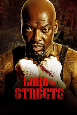 Jaquette : Lord of the Streets