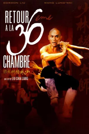 Jaquette : Retour à la 36ème chambre