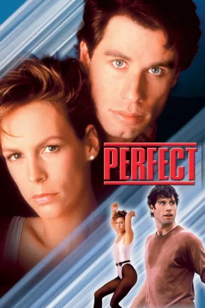 Jaquette : Perfect