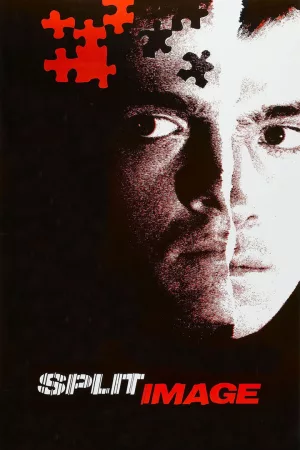 Jaquette : Split Image