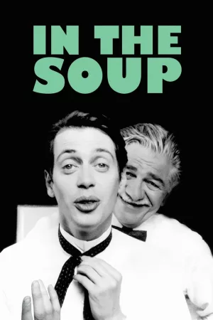 Jaquette : In the Soup