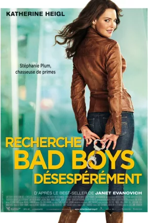 Jaquette : Recherche bad boys désespérément