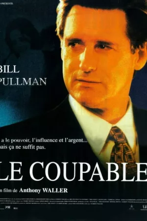 Jaquette : Le Coupable