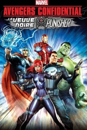 Jaquette : Avengers Confidential : La Veuve Noire et Le Punisher