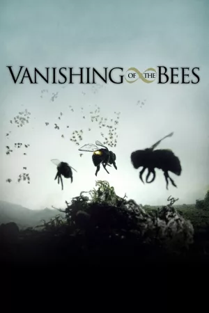 Jaquette : Vanishing of the Bees
