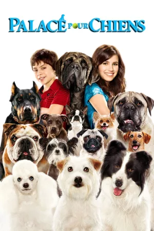 Jaquette : Palace pour chiens