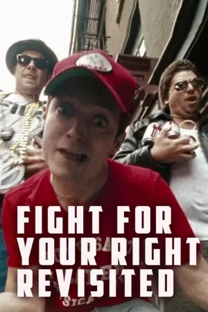 Jaquette : Fight for Your Right Revisited