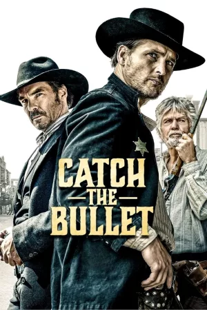 Jaquette : Catch the Bullet