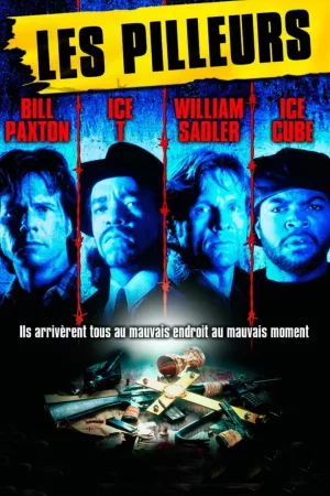 Jaquette : Les Pilleurs