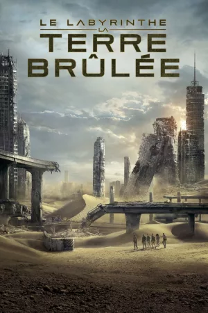 Jaquette : Le Labyrinthe : La Terre Brûlée