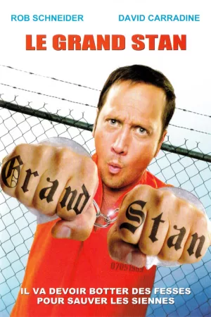 Jaquette : Le Grand Stan