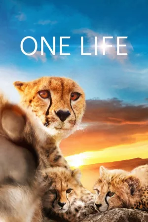 Jaquette : One Life