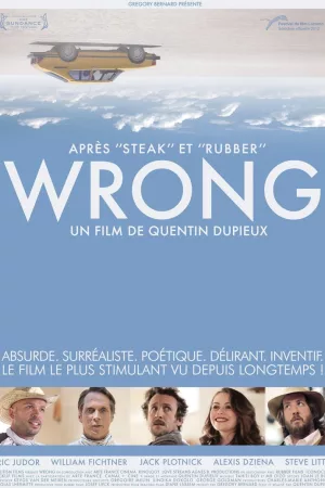 Jaquette : Wrong