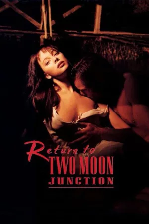 Jaquette : Return to Two Moon Junction