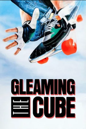 Jaquette : Gleaming the Cube