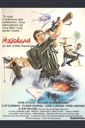 Jaquette : Rosebud