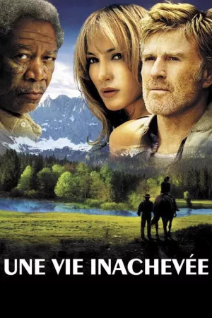 Jaquette : Une Vie Inachevée