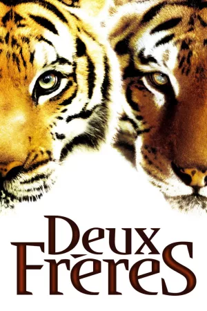Jaquette : Deux Frères