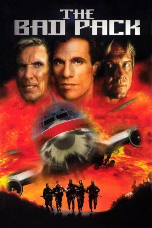 Jaquette : The Bad Pack