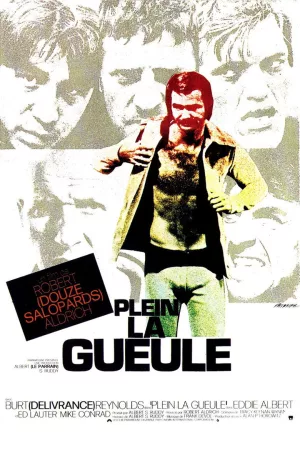 Jaquette : Plein la gueule