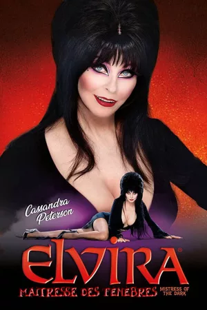 Jaquette : Elvira, maîtresse des ténèbres