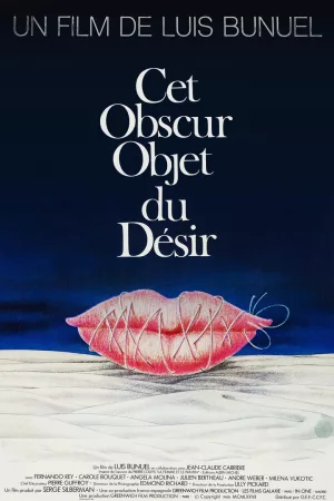 Jaquette : Cet obscur objet du désir