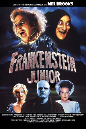 Jaquette : Frankenstein Junior