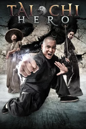 Jaquette : Tai Chi Hero