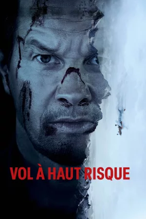 Jaquette : Vol à haut risque