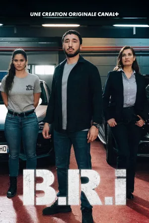 Jaquette : B.R.I