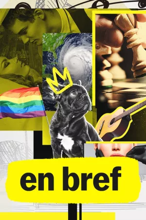 Jaquette : En bref