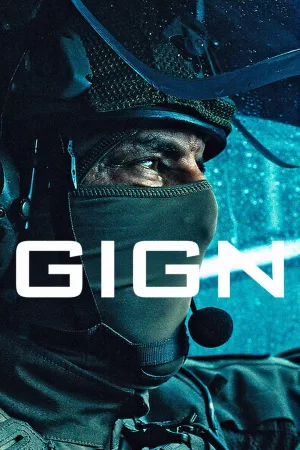 Jaquette : GIGN