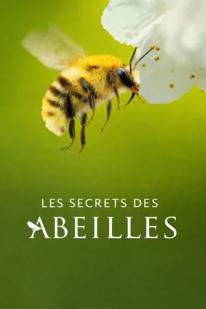 Jaquette : Les Secrets des abeilles
