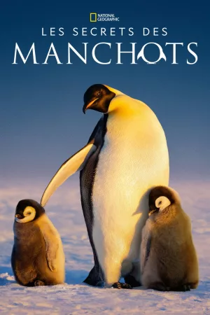 Jaquette : Les Secrets des manchots
