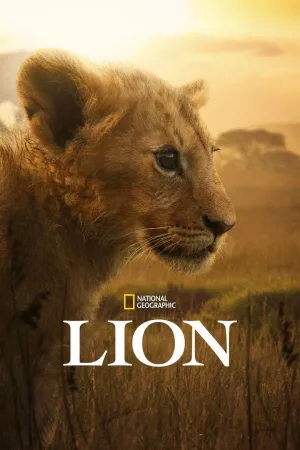 Jaquette : Lion