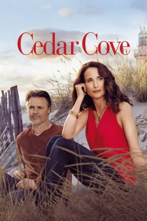 Jaquette : Retour à Cedar Cove